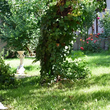 Orient Apartmanhaz